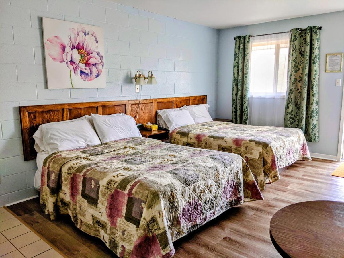 سيدني Jacques Cartier Motel المظهر الخارجي الصورة